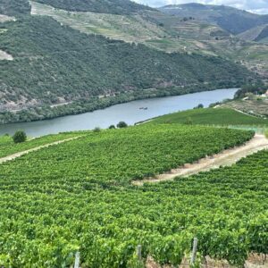 Douro